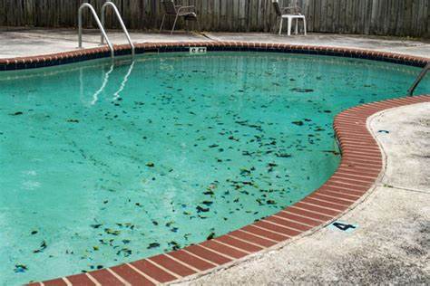 Dirty Pool Image 1