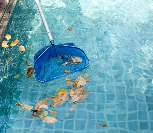 Dirty Pool Image 3 595x516